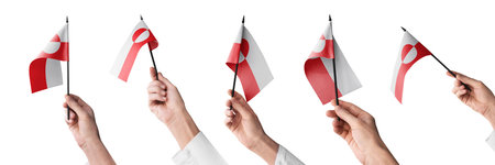 The Greenland flag in hand in different angles on a white backgroundの写真素材