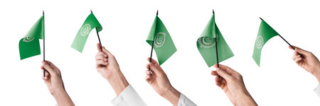 The Arab League flag in hand in different angles on a white background