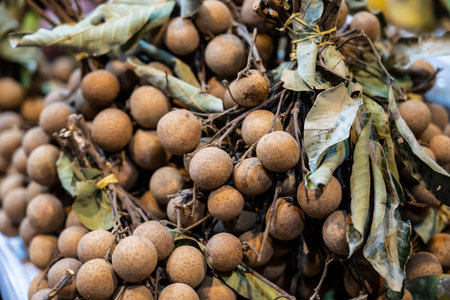 Warm scene with dried leaves and tangled stems. Vivid portrayal of longan fruit bunches amid rustic...