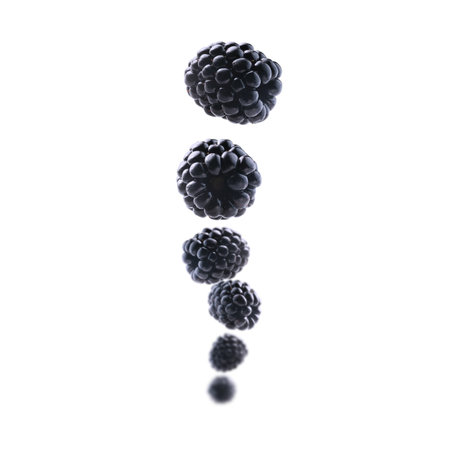 Fresh, juicy blackberries levitate on a clean, bright white background