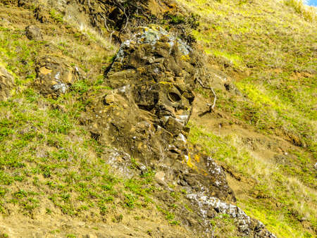 Face in the rock, Goat Island, New Zealandの写真素材