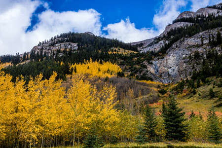 Taken along the Bow Valley Parkway, Banff National Park, Alberta, Canadaの写真素材