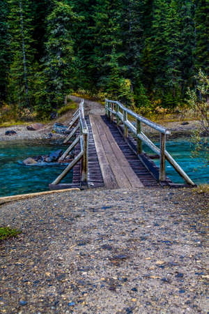 Waterfowl Lakes, Banff National Park, Alberta, Canadaの写真素材