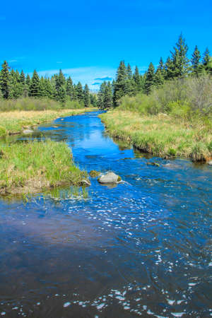 From the roadside, Riding Mountain National Park,Manitoba, Canadaの写真素材