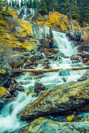 Tangle Creek Falls, Jasper National Park, Alberta, Canadaの写真素材