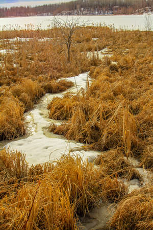 Coyote Lake, coyote Lakes Natural Area, Alberta, Canadaの写真素材