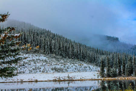 Fall colours and early snow on the lake, Sibbald Lake Provincial Recreation Areaの写真素材