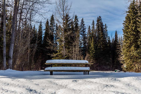 Early spring on the Tay, TayRiver Provincial Recreation Areaの写真素材