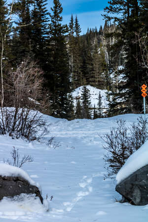 Waiprous creek in winter, Wiaprous Provincial Recreation Area, Alberta, Canadaの写真素材