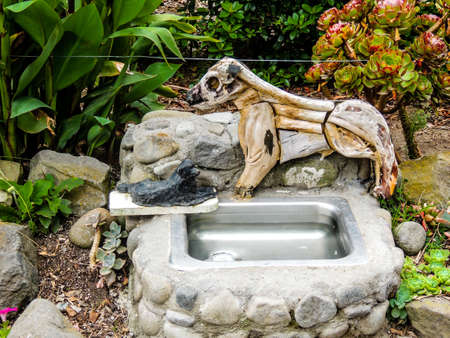 surf, surfing, waves, breaks, swells, beach, sand, water, plymouth, new zealand, surf hiway 45,の写真素材