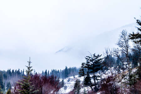 Sunrises, clear lakes, mountains, ducks and birds are always on the menu at Vermillion Lakes in banffの写真素材