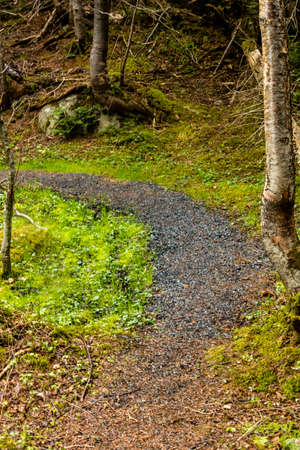Mattie Mitchell Trail, Gros Morne National Park, Newfoundland, Canada