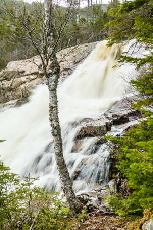 Waves crashing over the rocks of East Brooke Falls, Gros Morne NationL Park, Newfoundland, Canada