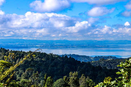 View while walking through Waitikarie Ranges Regional Park, Auckland, New Zealandの写真素材
