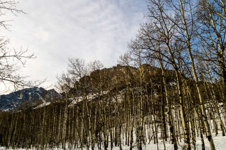 A view of the rockies in winter from, Exshaw, Alberta, Canada