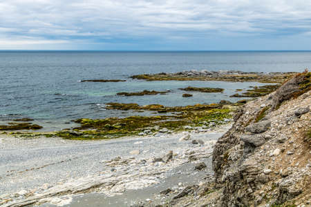 Limestone cliffs, rock and driftwood strewn beaches and flora in the hills in Bellbuns,...