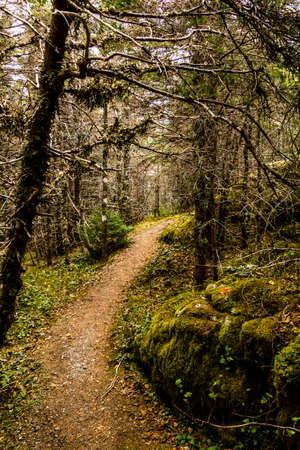 Lighthouse trail and lighthouse, Cow Head Peninsula, Newfoundland, Canada