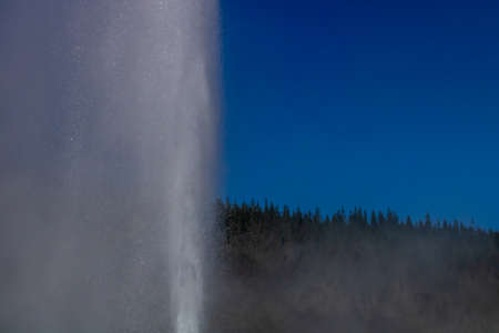 Lady Knox Geyser, Wai-O-Tapu Thermal Wonderland, Rotarua, New Zealand