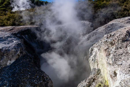 Geo thermal steam can be seen rising through out the park, Wai-O-Tapu, Rotorua, New Zealand