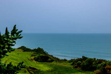 A view from the side of the road while driving through the North Island of New Zealand