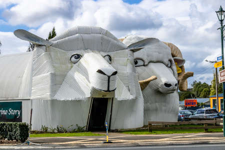A visit to the sheep shaped wool shop, Tuiriu, New Zealandのeditorial素材