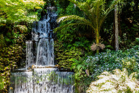 Flower gardens, water falls, fountains and several ponds highlight a day in the park for tourists and locals alikeの写真素材