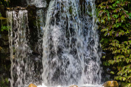 Flower gardens, water falls, fountains and several ponds highlight a day in the park for tourists...