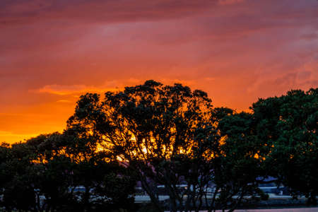 golden sunsets are the big drw on Point Chevier for tourists and locals alike.の写真素材