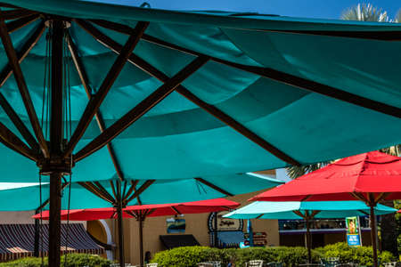 Views while walking around Busch Gardens, Tampa, Florida, United Statesの写真素材