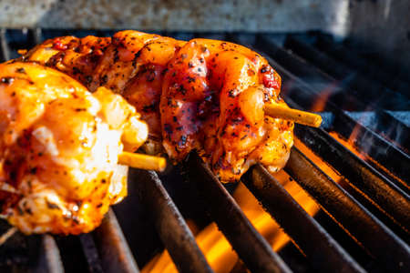 Sundried tomato chicken kababs on the grill. calgary, Alberta, Canada