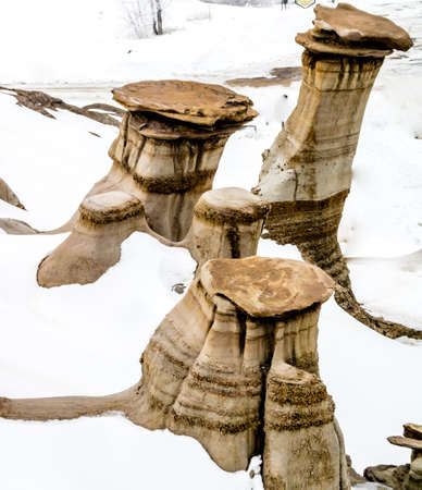 Late blast of snow tries to hide the Hoodoos in the badlands. Drumheller Alberta, Canada.