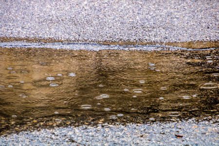 Rain falls on the road and creats puddles. Calgary, Alberta, Canadaの写真素材