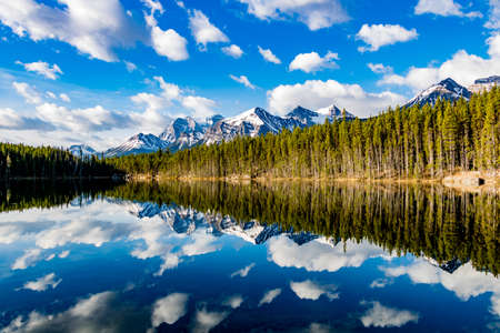 Early morning reflections in the crystal clear waters of Herbert Lake. Banff National Park, Alberta, Canadaの写真素材
