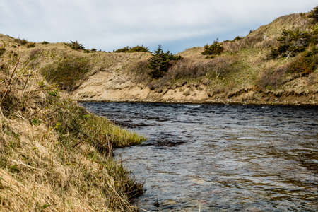 Western Brooke River, Gros Morne National Park, Newfoundland, Canadaの写真素材