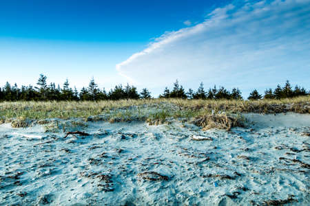 Shore line along Shallow Bay. Gros Morne National Park, Newfoundland, Canadaの写真素材