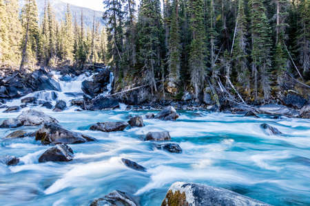Confluence of Yoho and Kickinh Horse rivers. Yoho National Park. British Columbia, Canada.の写真素材