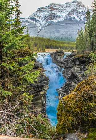 Athabaska Falls, Jasper National Park, Alberta, Canada.の写真素材
