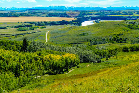 Farmers field adds a splash of colour to the ranch. Glenbow Ranch Provincial Recreation Area, Alberta, Canadaの写真素材