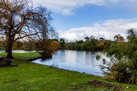 Views while strolling around Western Springs Duck Pond, Auckland, New Zealand