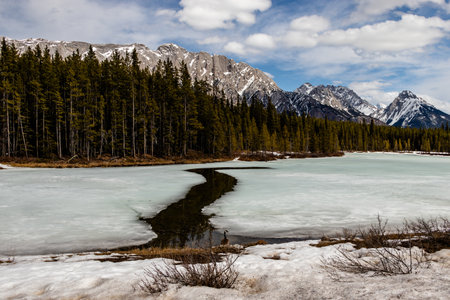 Water showing through Upper Lake. Peter Lougheed Provincial Park,  Alberta, Canadaの写真素材