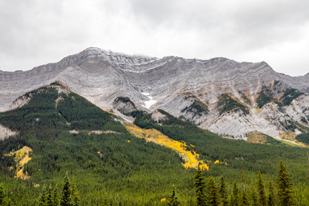 Fall colours creep up Fortress Mountain. Spray Valley Provincial Park, Alberta, Canadaの写真素材