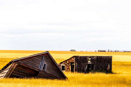 Rustic farm buildings on the prairies. Vulcan County, Alberta, Canadaの写真素材