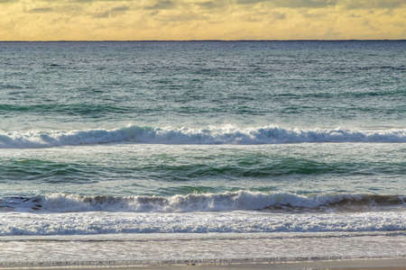 Rolling waves, black sand and brilliant green vegetation highlight a visit to the beach. Taranaki,...