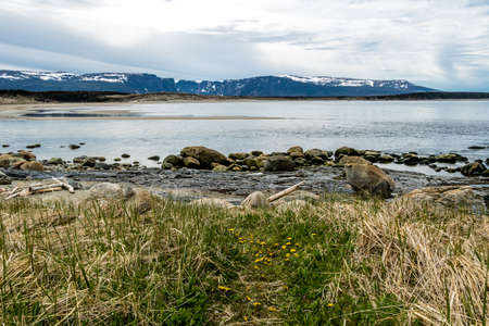 The beach head from Steve's trail. Gros Morne National Park, Newfoundland, Canadaの写真素材