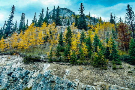 Fall colours around Vermillion Lakes, Banff National Park, Alberta, Canadaの写真素材