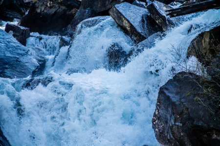 Confluence of Yoho and Kickinh Horse rivers. Yoho National Park. British Columbia, Canada.の写真素材