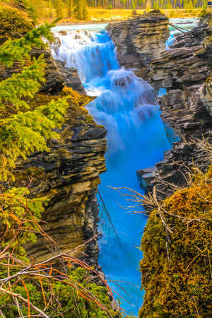 Athabaska Falls, Jasper National Park, Alberta, Canada.の写真素材