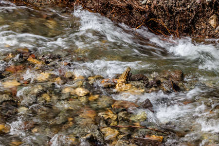 Castle River flowing fast to Beaver Mines Lake. Beaver Mines Lake PRA, Alberta, Canada