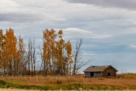Rustic farm buildings still standing and some have given up show off the history of the area. Mountainview County, Alberta, Canadaの写真素材