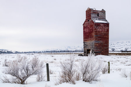 Majestic wooden giants of the prairies some are still standing as an icon of an era long gone.の写真素材